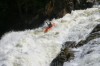 Thumbs/tn_Img_0917.jpg