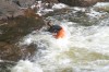 Thumbs/tn_Img_0924.jpg
