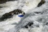 Thumbs/tn_Img_0932.jpg