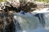 Thumbs/tn_Img_1050.jpg