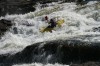 Thumbs/tn_Img_1120.jpg