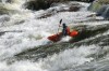 Thumbs/tn_Img_1128.jpg