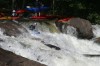 Thumbs/tn_Img_9830.jpg