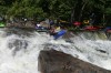 Thumbs/tn_Img_9846.jpg