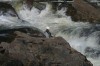 Thumbs/tn_Img_9873.jpg