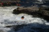 Thumbs/tn_Img_9891.jpg