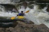 Thumbs/tn_Img_9900.jpg