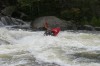 Thumbs/tn_Img_4142.jpg