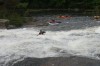 Thumbs/tn_Img_4395.jpg