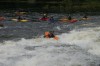 Thumbs/tn_Img_4411.jpg