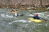 Thumbs/tn_Img_1461.jpg