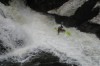 Thumbs/tn_Img_0211.jpg