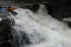 Thumbs/tn_Img_0213.jpg