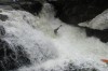 Thumbs/tn_Img_0216.jpg