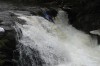 Thumbs/tn_Img_0217.jpg