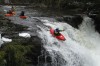 Thumbs/tn_Img_0218.jpg