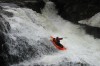 Thumbs/tn_Img_0222.jpg
