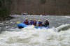 Thumbs/tn_Img_2285.jpg