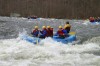 Thumbs/tn_Img_2289.jpg