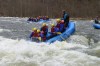 Thumbs/tn_Img_2293.jpg