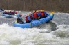 Thumbs/tn_Img_2298.jpg