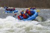 Thumbs/tn_Img_2299.jpg