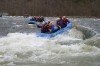 Thumbs/tn_Img_2303.jpg