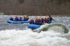 Thumbs/tn_Img_2308.jpg