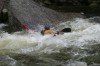 Thumbs/tn_Img_2363.jpg