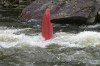 Thumbs/tn_Img_2380.jpg
