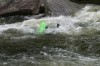 Thumbs/tn_Img_2431.jpg