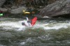 Thumbs/tn_Img_2467.jpg