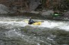 Thumbs/tn_Img_2496.jpg
