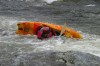 Thumbs/tn_Img_2708.jpg