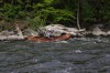 Thumbs/tn_Img_2165.jpg