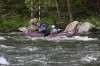 Thumbs/tn_Img_2238.jpg