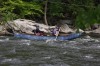 Thumbs/tn_Img_2242.jpg