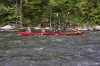 Thumbs/tn_Img_2250.jpg