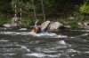 Thumbs/tn_Img_2276.jpg