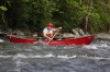 Thumbs/tn_Img_2341.jpg