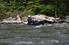 Thumbs/tn_Img_2368.jpg