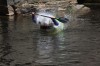 Thumbs/tn_Img_0354.jpg