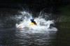 Thumbs/tn_Img_0649.jpg