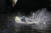 Thumbs/tn_Img_0672.jpg