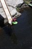 Thumbs/tn_Img_0692t.jpg