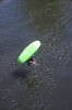 Thumbs/tn_Img_0694t.jpg