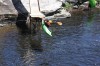 Thumbs/tn_Img_0705.jpg