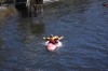 Thumbs/tn_Img_0720.jpg
