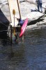 Thumbs/tn_Img_0740t.jpg