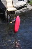 Thumbs/tn_Img_0741t.jpg